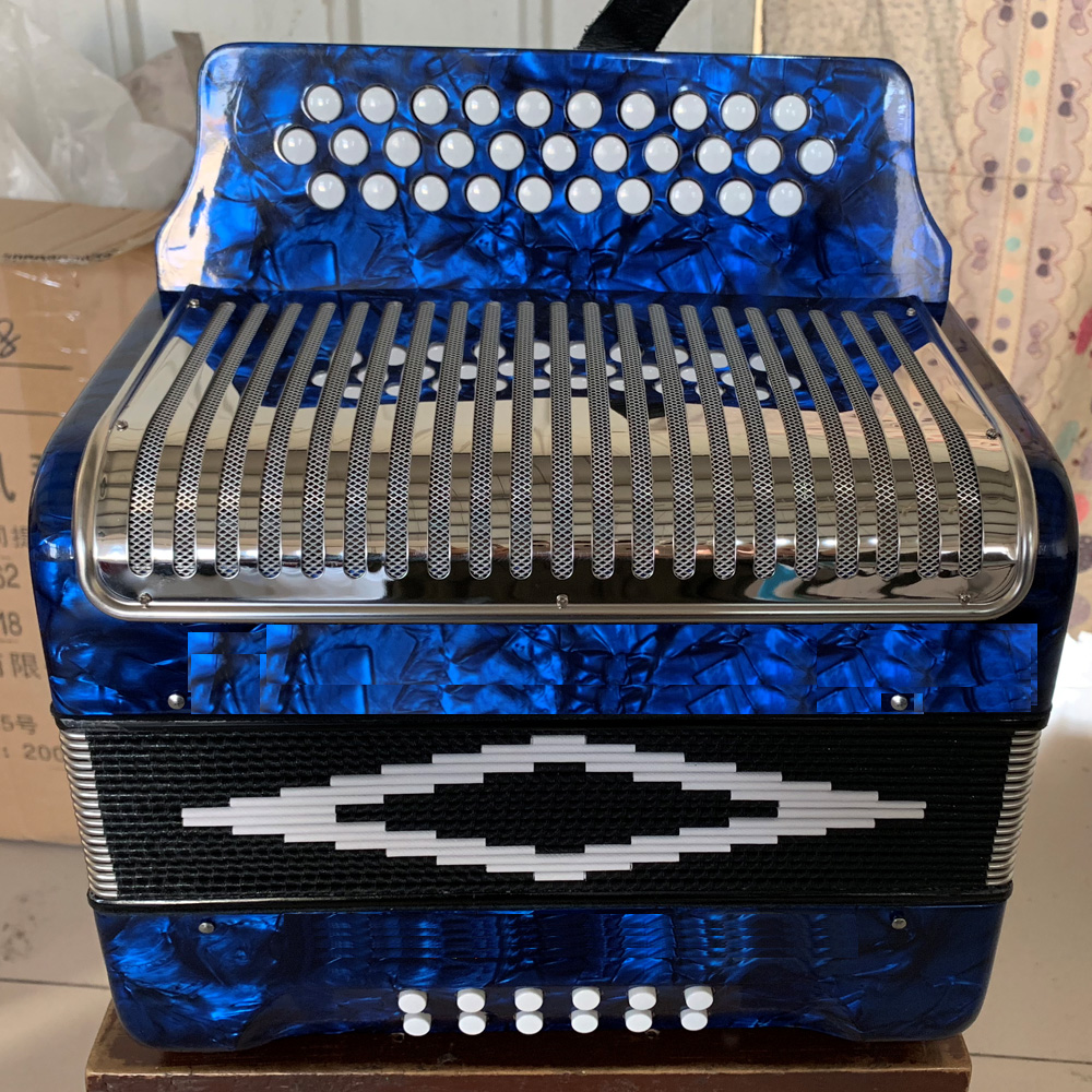 12 bass 31 button accordion