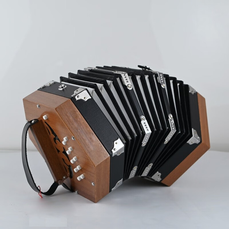 Hexagonal accordion 30 key push-pull homophonic